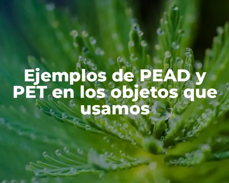 Ejemplos de PEAD y PET en los objetos que usamos