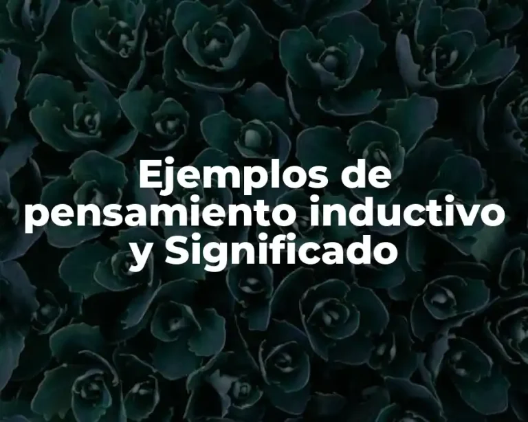 Ejemplos de pensamiento inductivo y Significado
