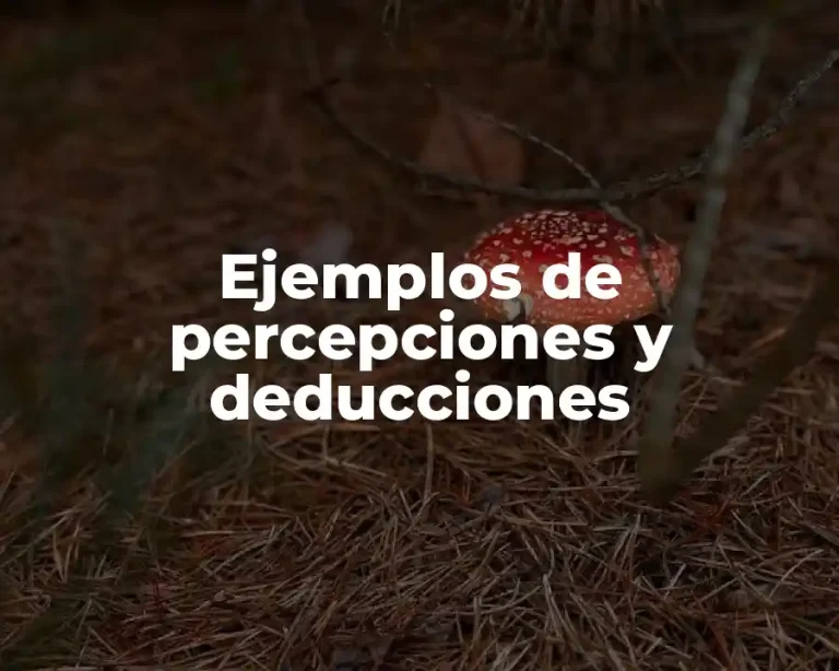 Ejemplos de percepciones y deducciones