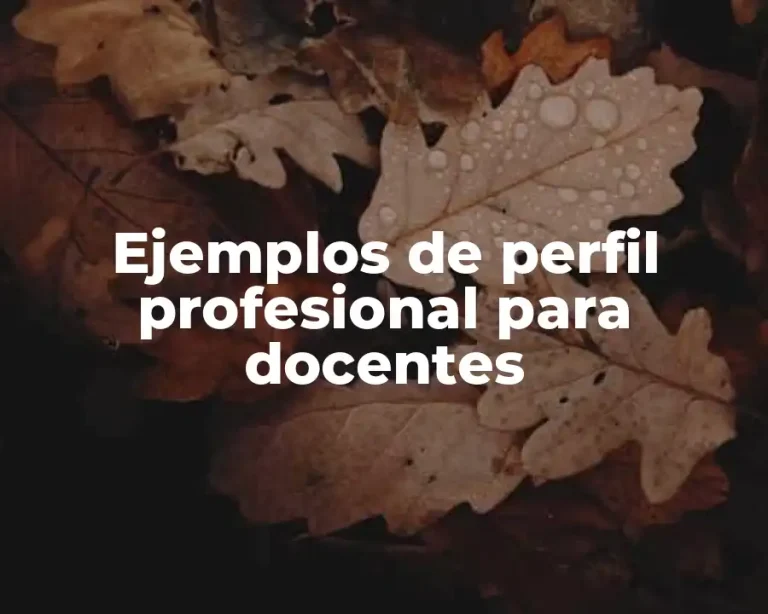 Ejemplos de perfil profesional para docentes