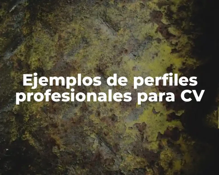Ejemplos de perfiles profesionales para CV