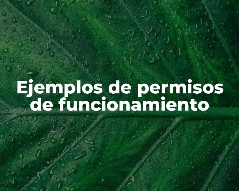 Ejemplos de permisos de funcionamiento