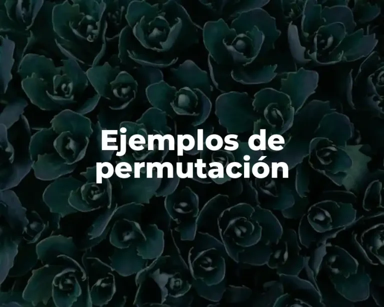 Ejemplos de permutación