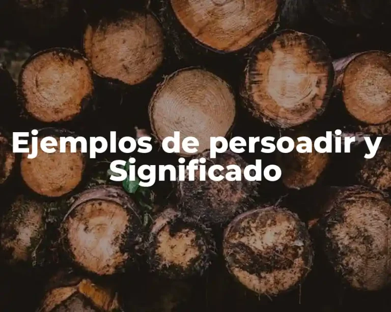 Ejemplos de persoadir y Significado