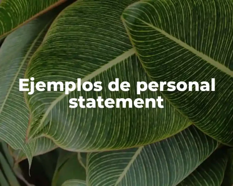 Ejemplos de personal statement