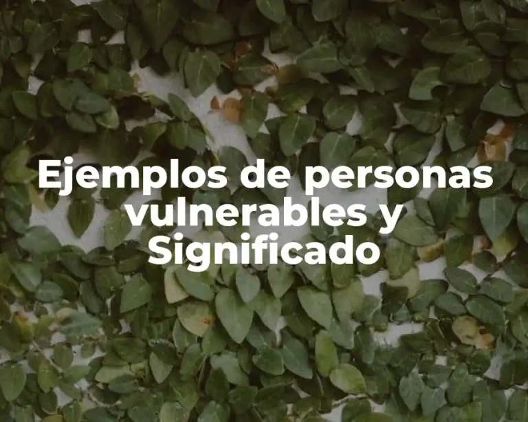Ejemplos de personas vulnerables y Significado