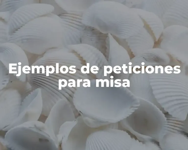 Ejemplos de peticiones para misa