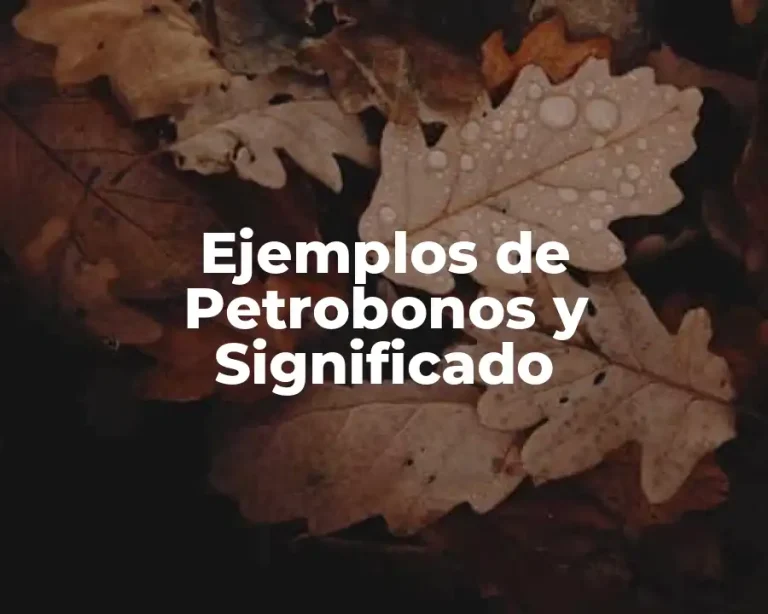 Ejemplos de Petrobonos y Significado