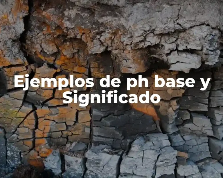 Ejemplos de ph base y Significado