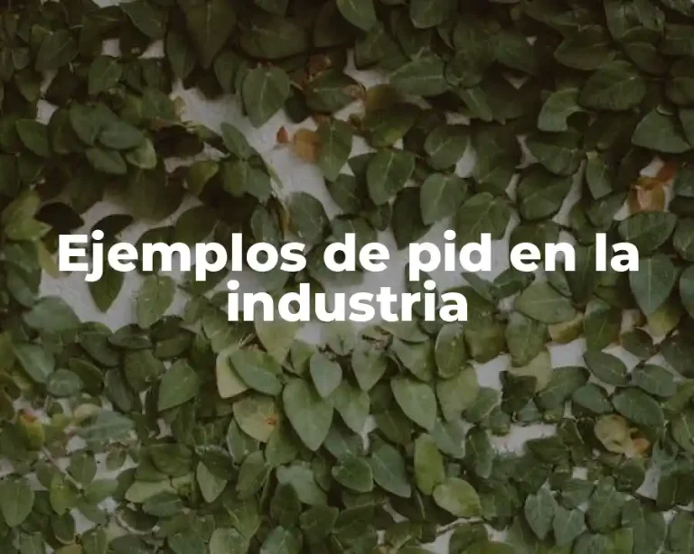 Ejemplos de pid en la industria