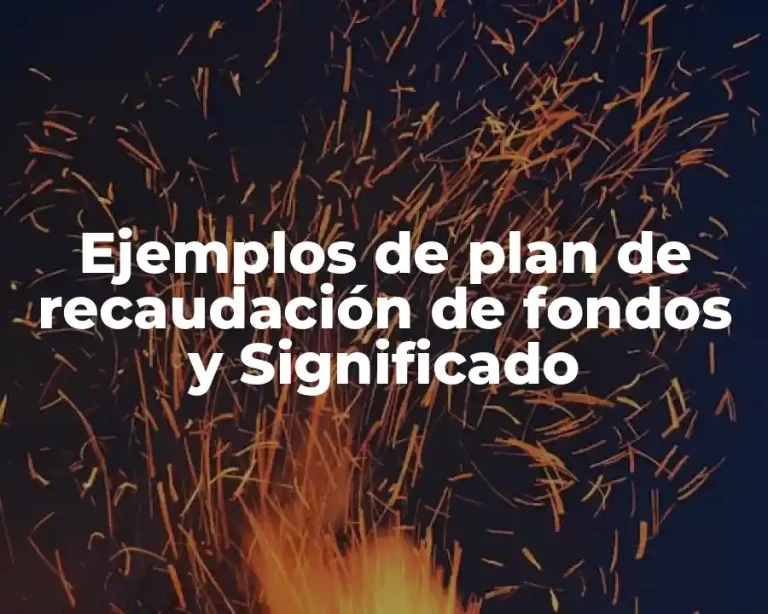 Ejemplos de plan de recaudación de fondos y Significado