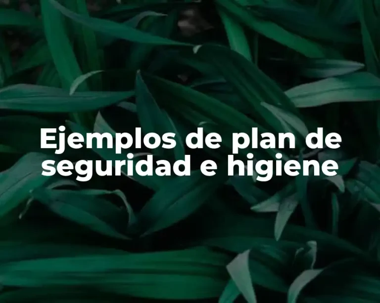 Ejemplos de plan de seguridad e higiene