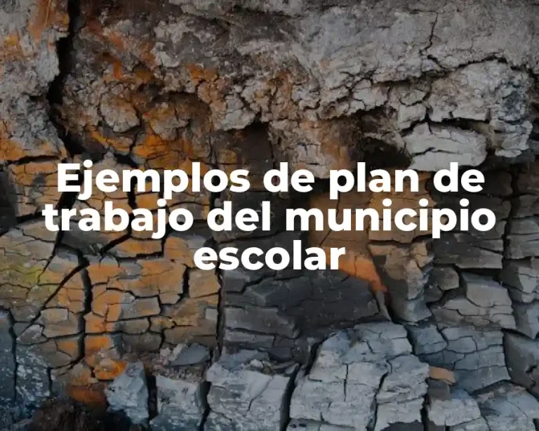 Ejemplos de plan de trabajo del municipio escolar