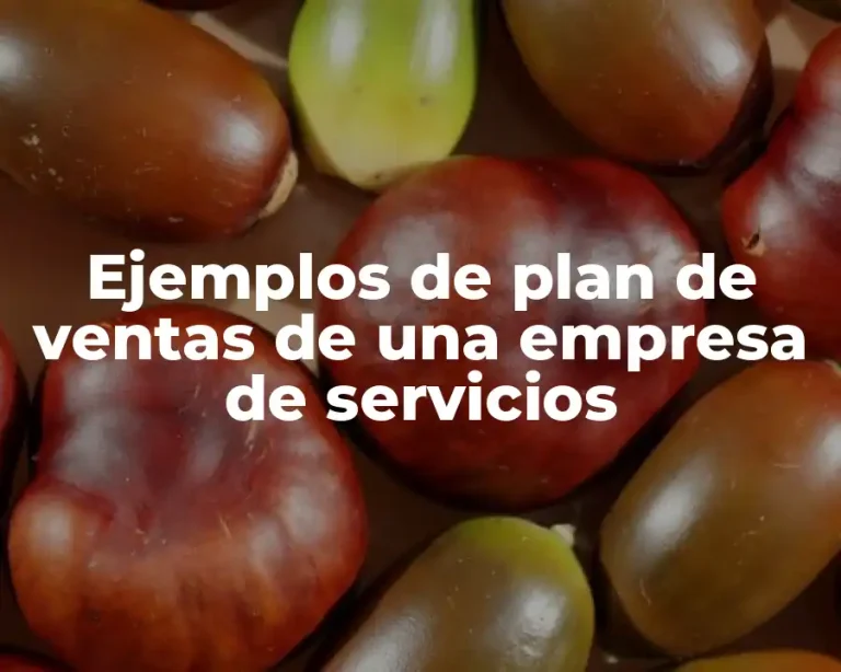 Ejemplos de plan de ventas de una empresa de servicios