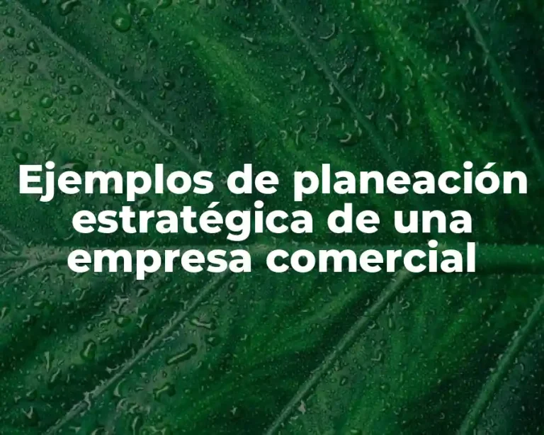 Ejemplos de planeación estratégica de una empresa comercial