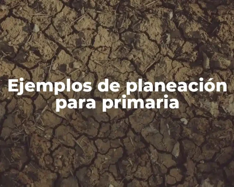 Ejemplos de planeación para primaria