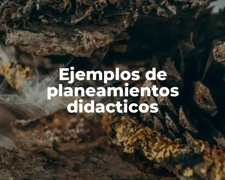 Ejemplos de planeamientos didacticos