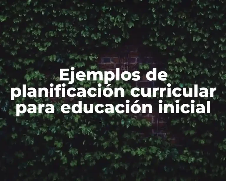 Ejemplos de planificación curricular para educación inicial