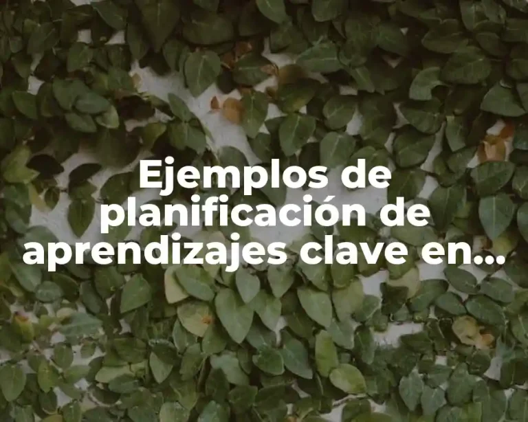 Ejemplos de planificación de aprendizajes clave en preescolar