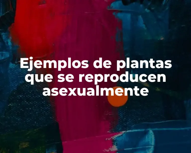 Ejemplos de plantas que se reproducen asexualmente
