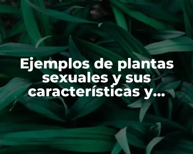 Ejemplos de plantas sexuales y sus características y Significado