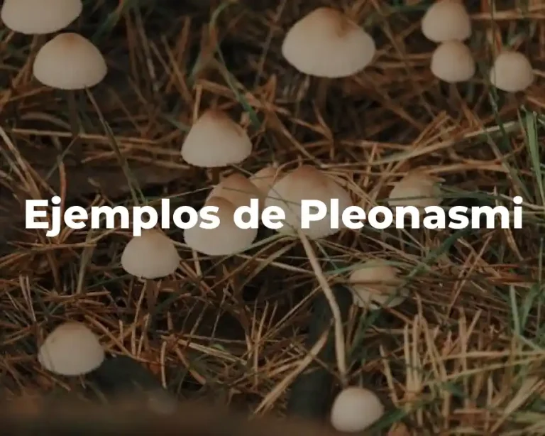 Ejemplos de Pleonasmi