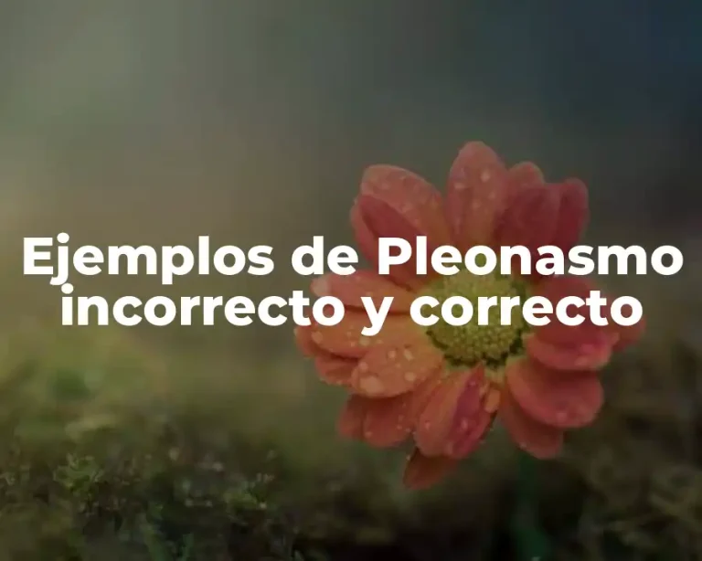 Ejemplos de Pleonasmo incorrecto y correcto