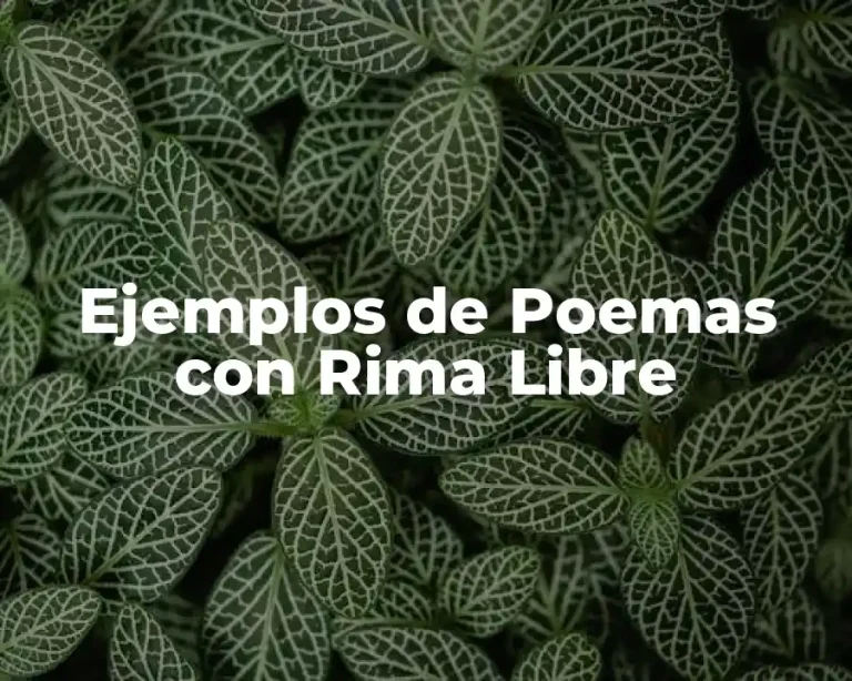 Ejemplos de Poemas con Rima Libre