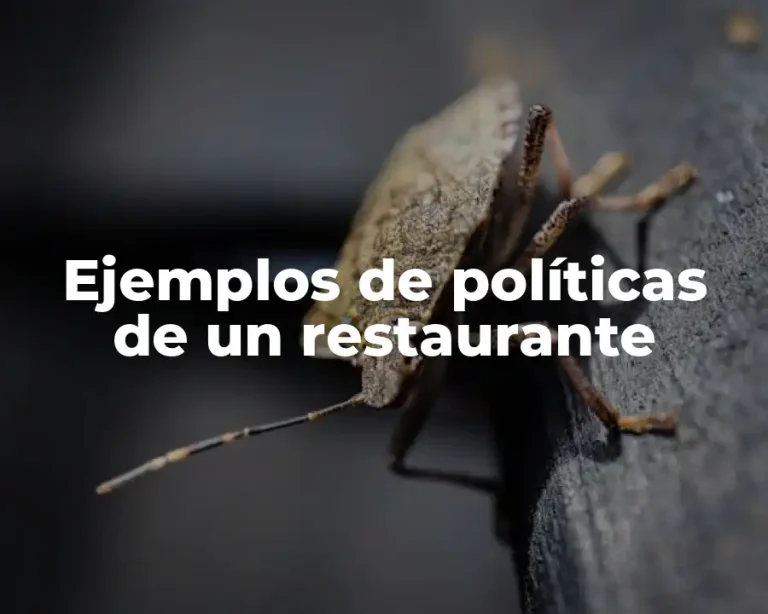 Ejemplos de políticas de un restaurante