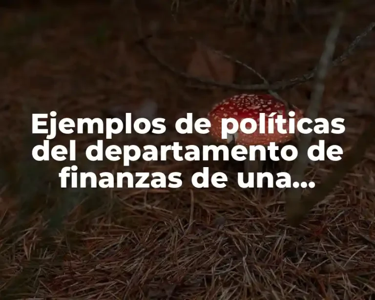 Ejemplos de políticas del departamento de finanzas de una empresa