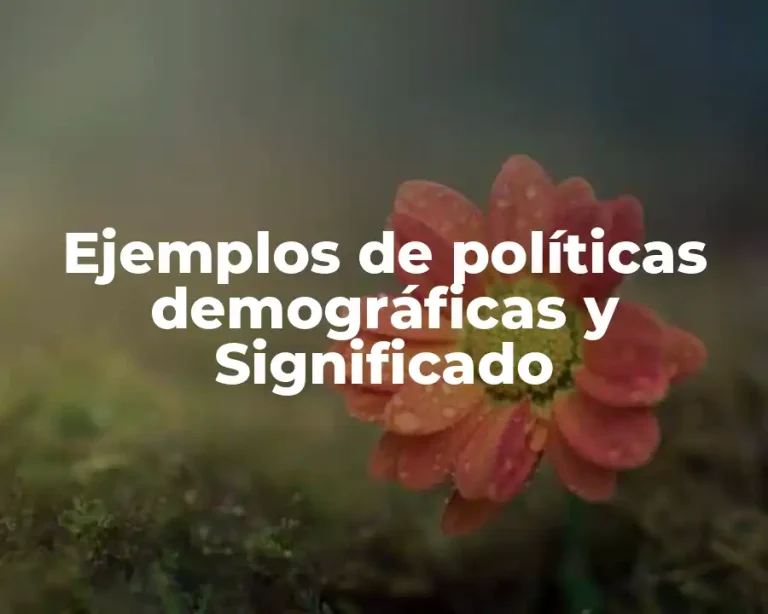 Ejemplos de políticas demográficas y Significado