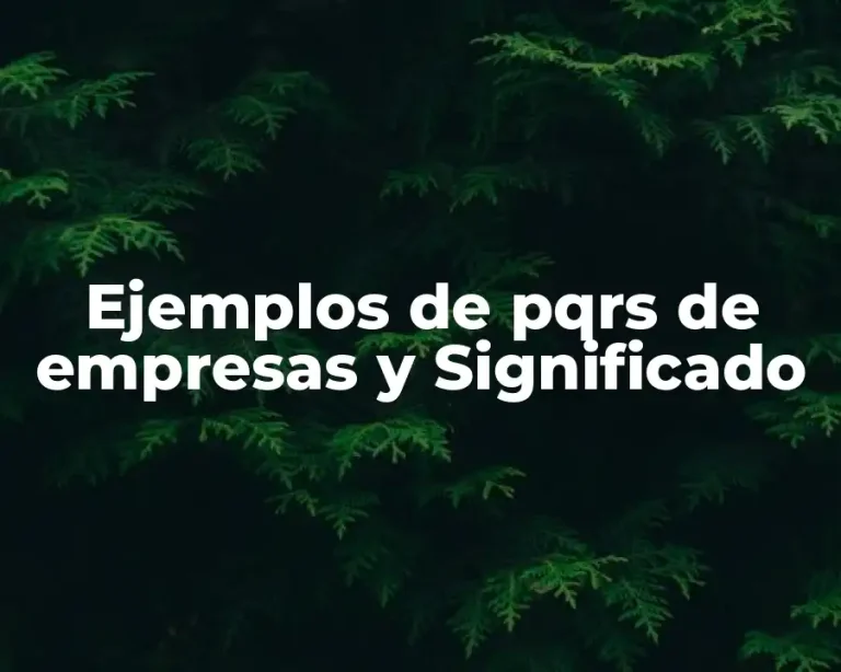 Ejemplos de pqrs de empresas y Significado