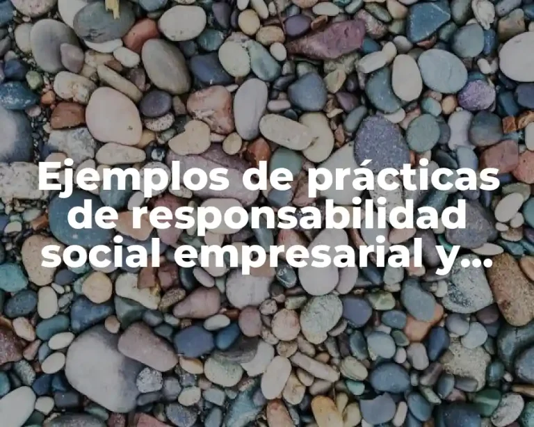 Ejemplos de prácticas de responsabilidad social empresarial y Significado