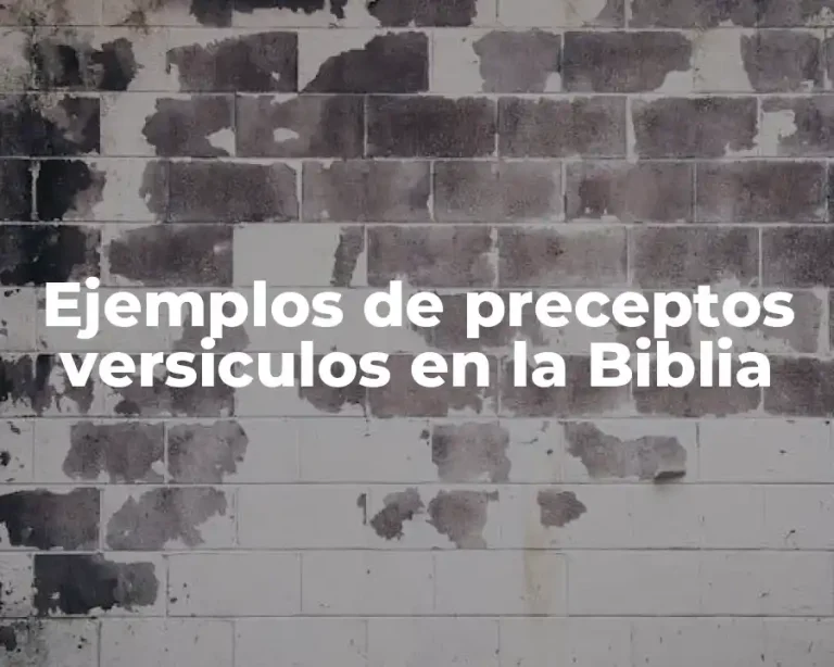 Ejemplos de preceptos versiculos en la Biblia