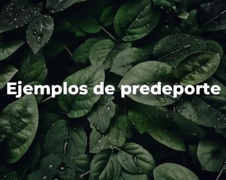 Ejemplos de predeporte