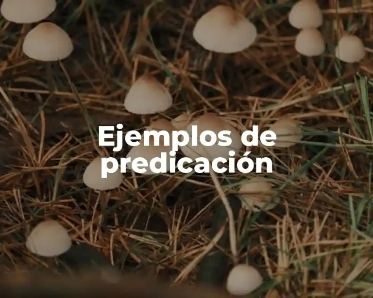 Ejemplos de predicación