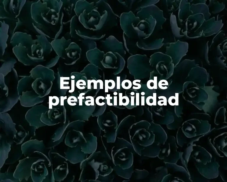 Ejemplos de prefactibilidad
