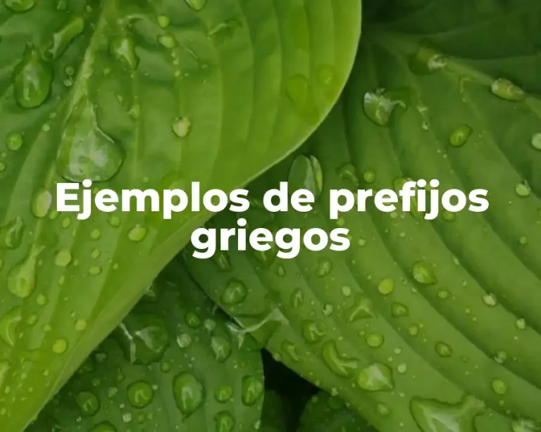 Ejemplos de prefijos griegos
