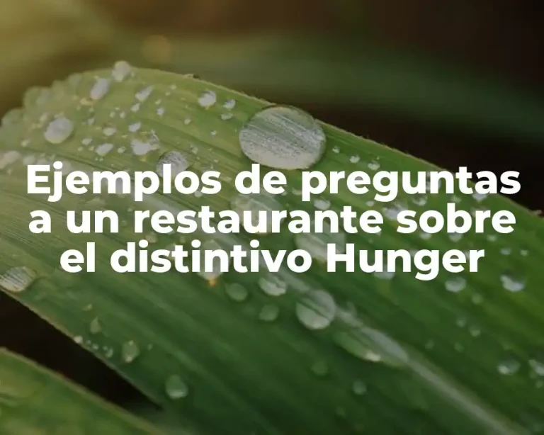 Ejemplos de preguntas a un restaurante sobre el distintivo Hunger