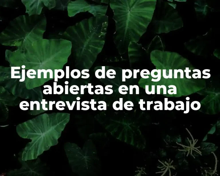 Ejemplos de preguntas abiertas en una entrevista de trabajo