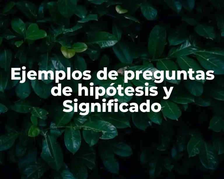 Ejemplos de preguntas de hipótesis y Significado