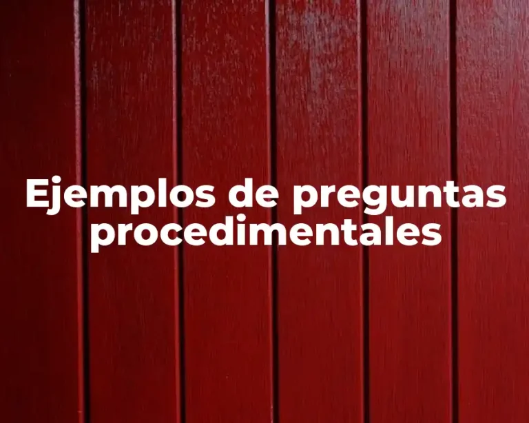 Ejemplos de preguntas procedimentales