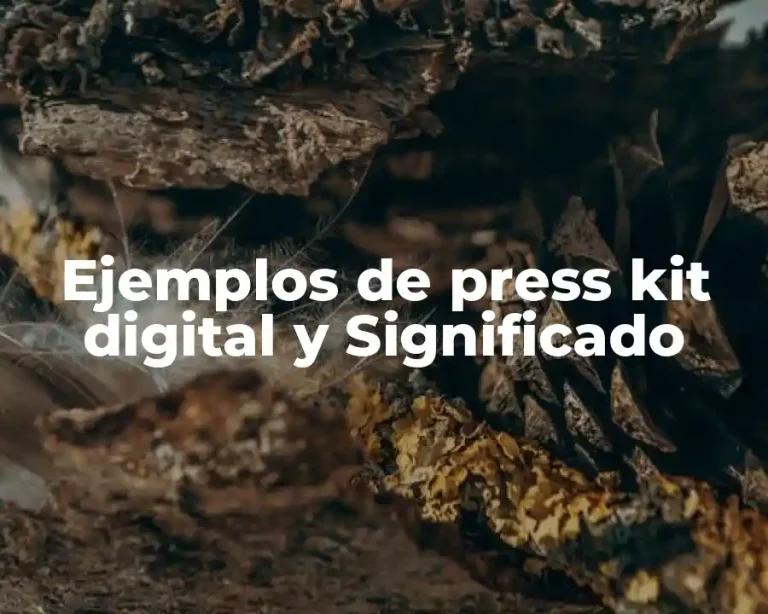 Ejemplos de press kit digital y Significado
