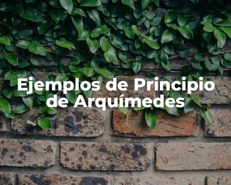 Ejemplos de Principio de Arquímedes