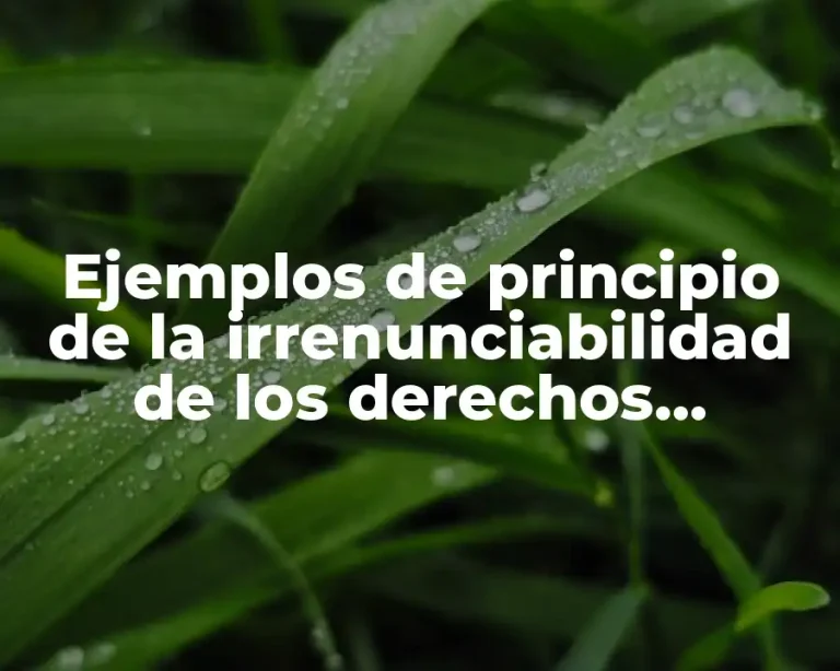 Ejemplos de principio de la irrenunciabilidad de los derechos laborales