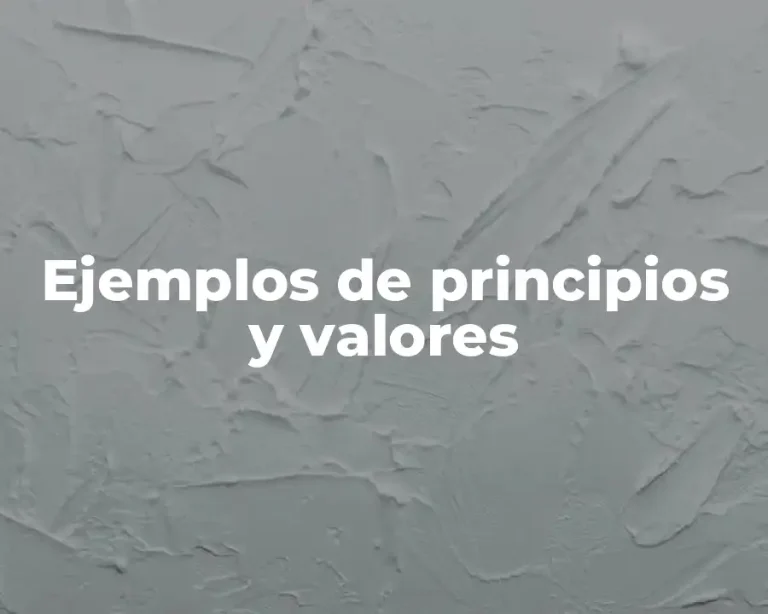 Ejemplos de principios y valores