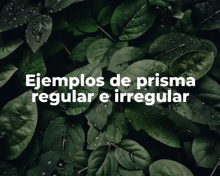 Ejemplos de prisma regular e irregular