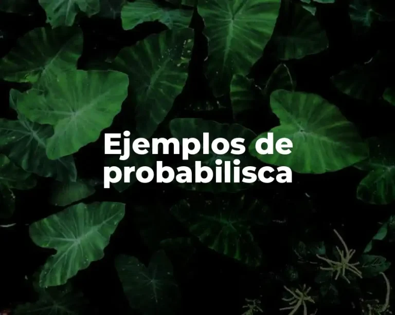 Ejemplos de probabilisca