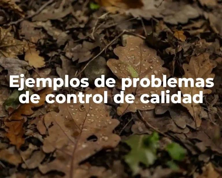 Ejemplos de problemas de control de calidad