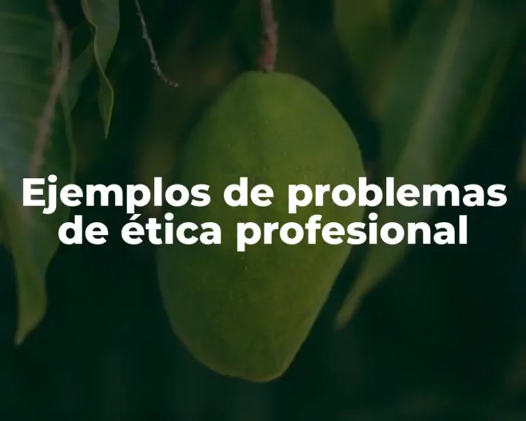 Ejemplos de problemas de ética profesional